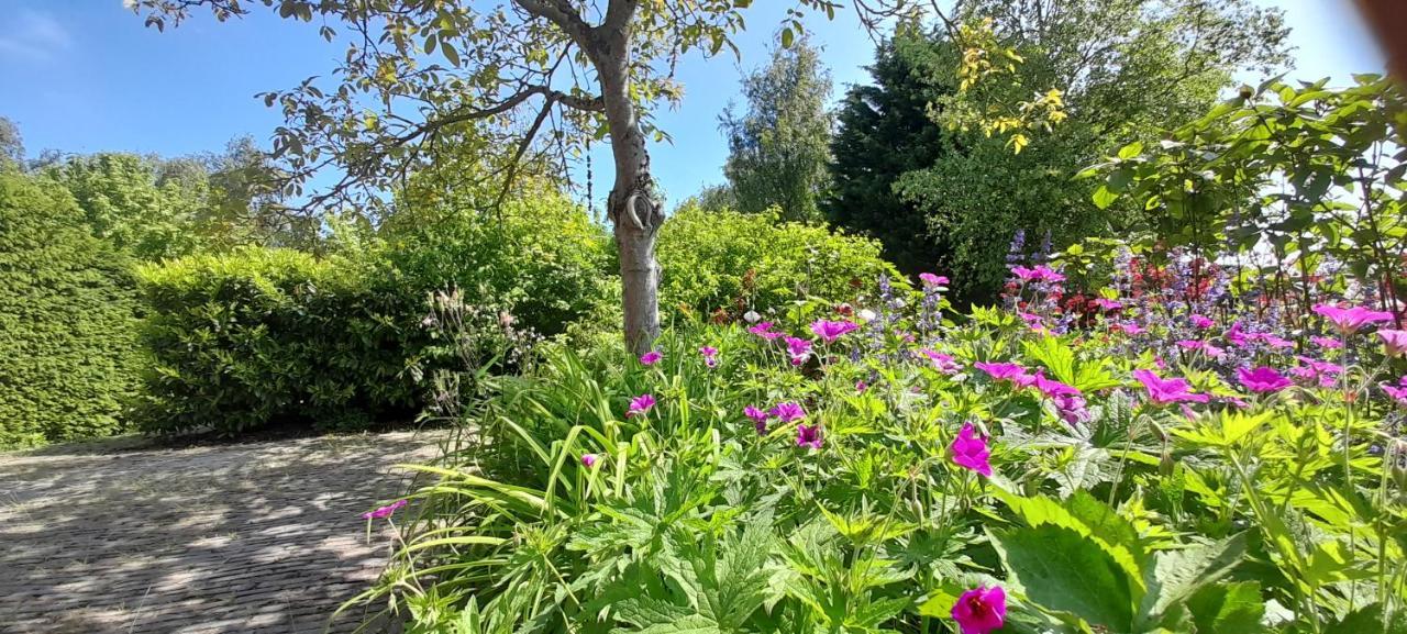 Nieuwland  B&B Sonnehuys المظهر الخارجي الصورة